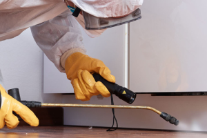 Messie Schädlingsbekämpfung Kaufbeuren